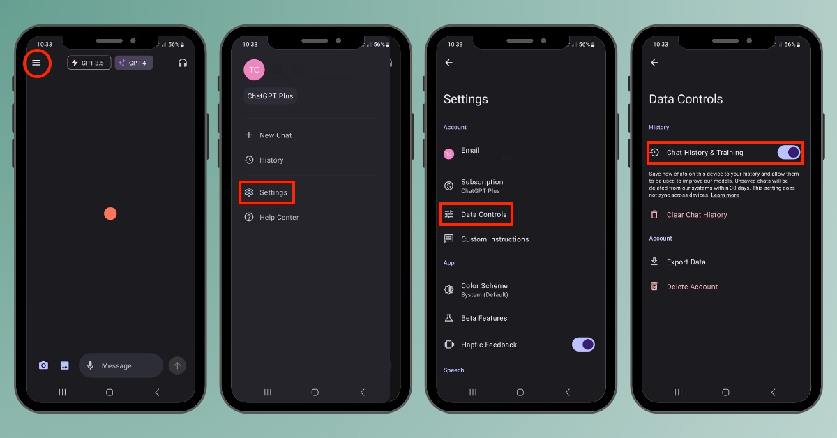 chatgpt-settings-data