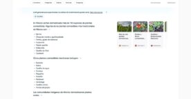 Google SGE est disponible dans plus de 120 pays, mais toujours pas en France : ce qu’il faut savoir