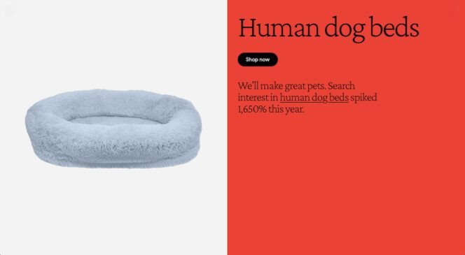 Google-human-dog-beds