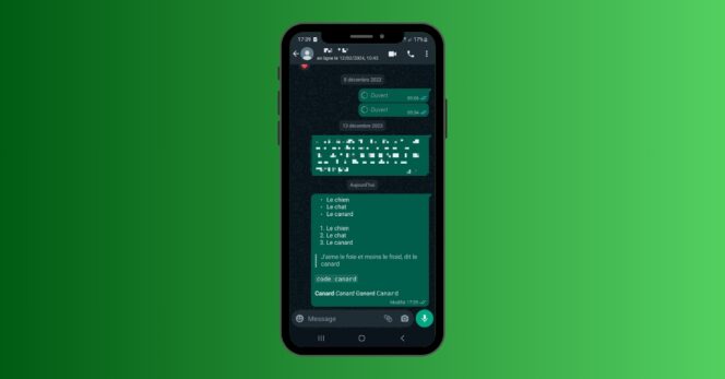WhatsApp mise en forme