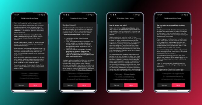 TikTok-Clonage-termes-utilisation