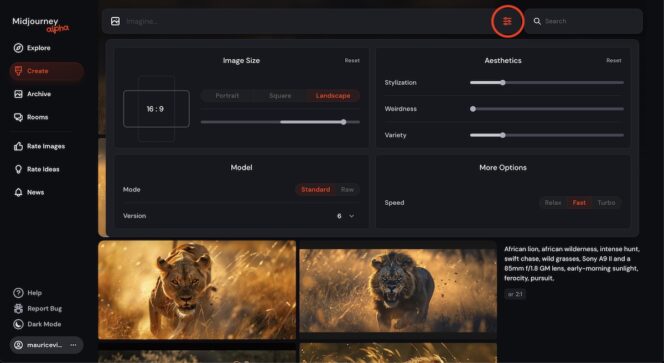 Midjourney-options-commandes