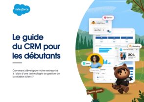 Relation client : pourquoi adopter un CRM en entreprise ?