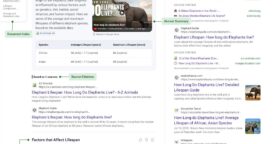 Bing teste une nouvelle expérience de recherche inspirée de Google AI Overviews