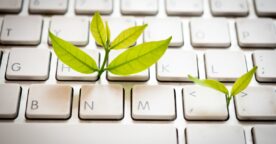 Éco-conception web : mesurez le poids environnemental de votre site avec EcoWebScore