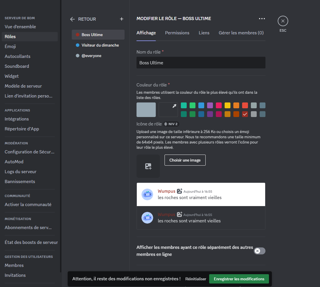 Rôles Discord BDM