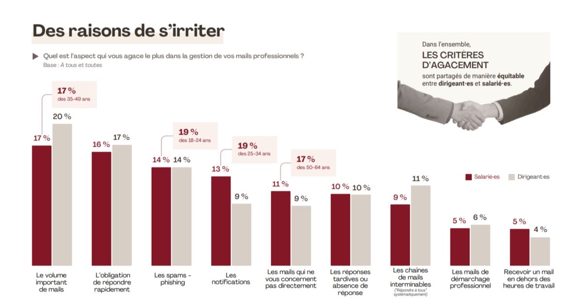 Mais professionnels etude 2024