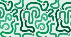 L’histoire du Morris Worm, la première cyberattaque sur Internet