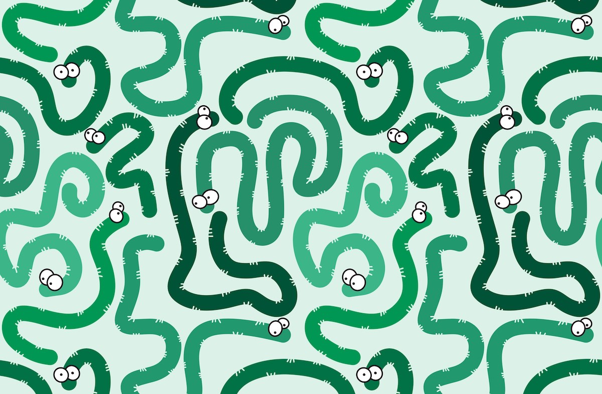 histoire-morris-worm-cyberattaque