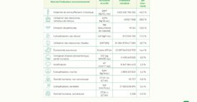 Quelles sont les principales causes de pollution numérique dans le monde ?