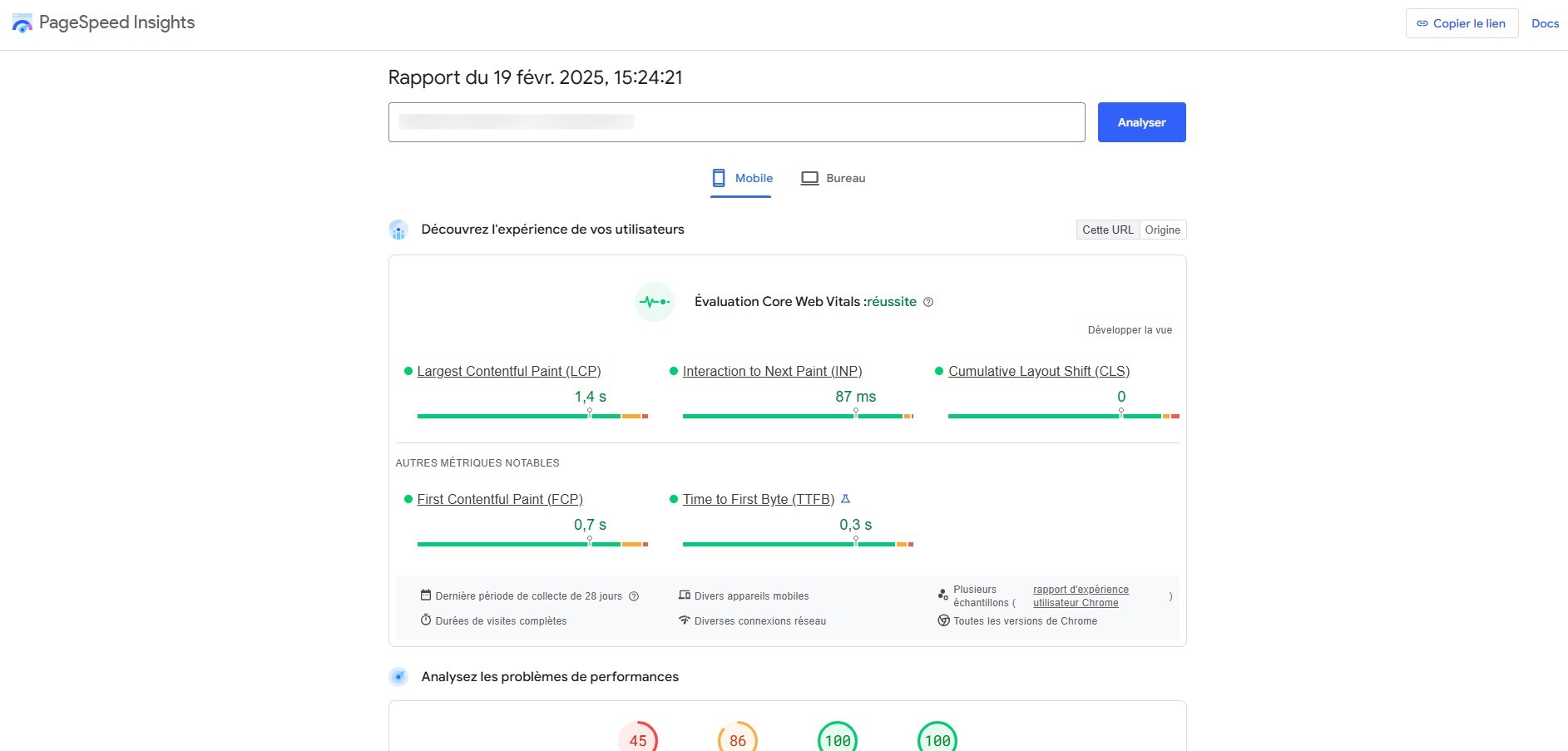 PageSpeed Insight-1
