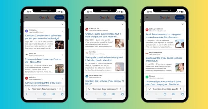 IA see - Ai Overviews - Google - France - Sources