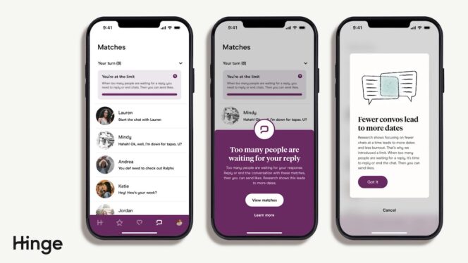 Hinge-limitations-match