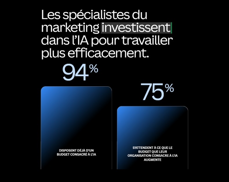 IA Budget Canva