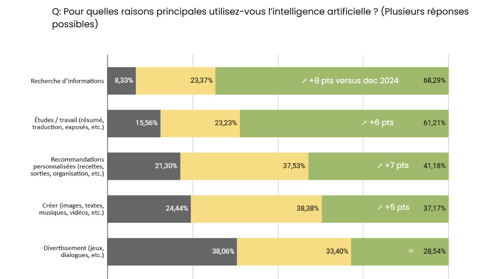 Utilisation IA Motif Born AI