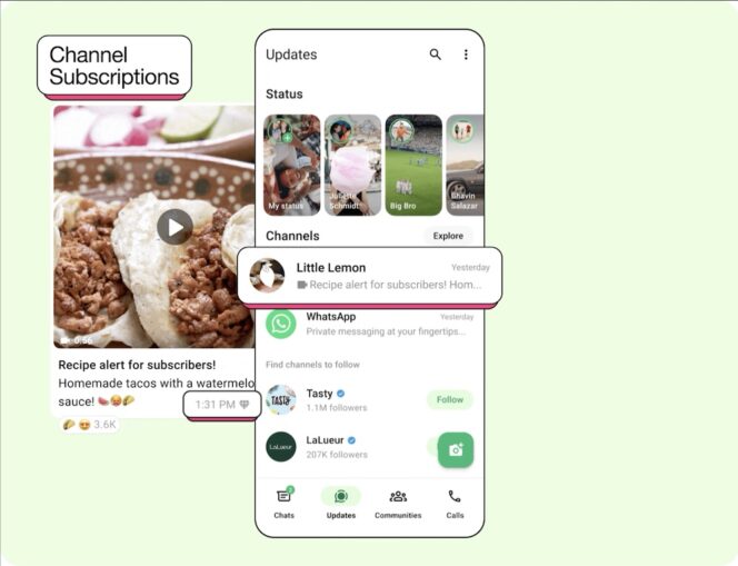 Whatsapp-channel-subscription