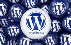Monétiser un site WordPress : les conseils d’Alex Borto, fondateur de WPMarmite
