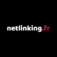 Logo netlinking.fr