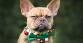 Les pires fails marketing de Noël&nbsp;: 7 campagnes qui ont viré au bad buzz