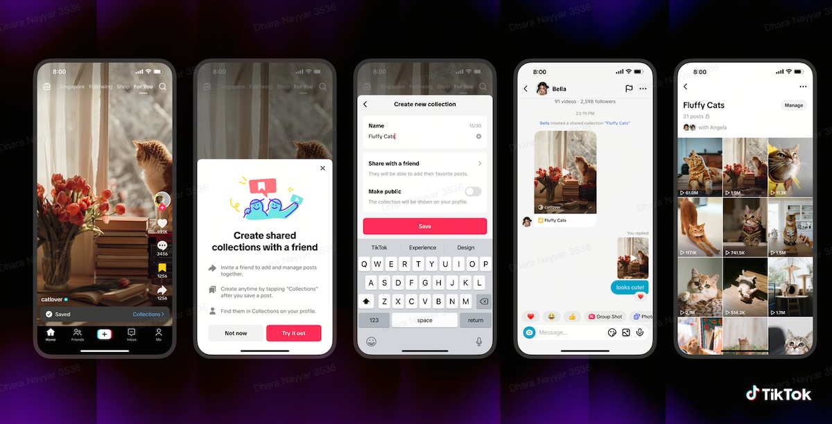 shared-collections-tiktok