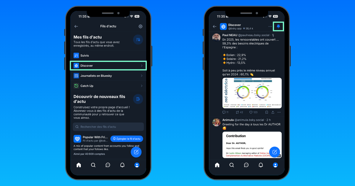 bluesky-desepingler-fil-discover