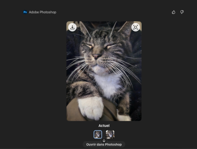 Photoshop-chatgpt-2_1