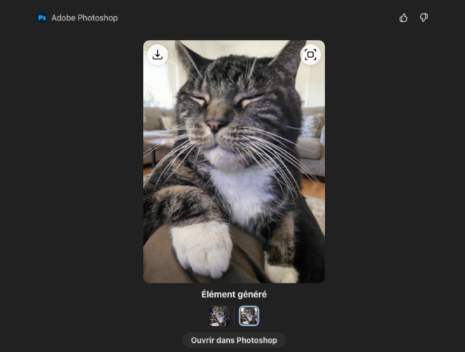 Photoshop-chatgpt-2_2