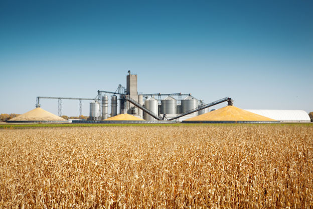 Agroalimentaire : 5 grands groupes qui recrutent en Ile-de-France