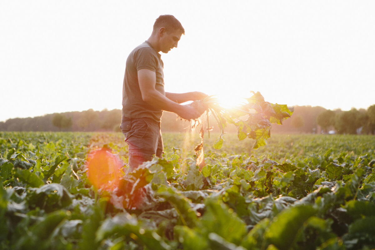 Agriculture : le nombre de recrutements en baisse cette année