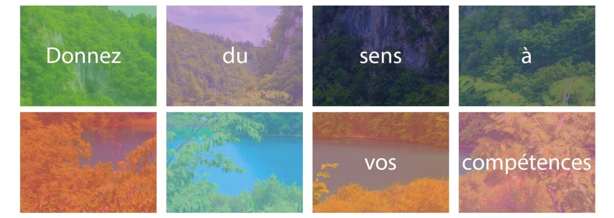Emplois dans les Télécoms et les Travaux Publics : donnez enfin du sens à vos compétences avec Ittaka Grand Ouest
