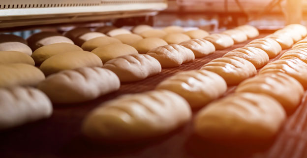 Industrie agroalimentaire : Top 10 des entreprises qui recrutent dans le Nord