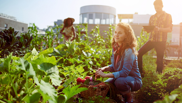 Métiers de l’agriculture et de l’agroalimentaire : ne cherchez plus, les opportunités sont dans le pré !