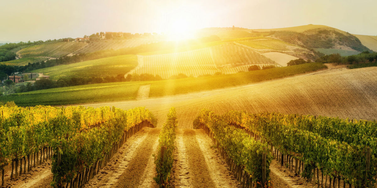 BTP, agriculture, transport... comment ces secteurs s'adaptent à la canicule