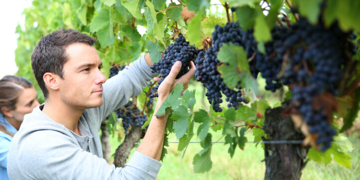 Job d'été 2022 : qui recrute en Occitanie ?
