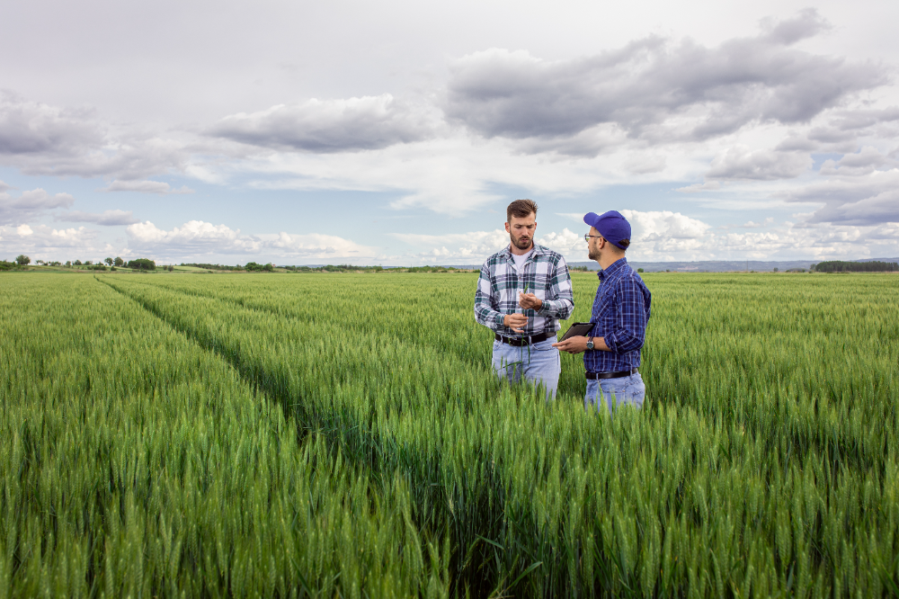 Tereos est un groupe coopératif français de dimension internationale, qui rassemble 11 200 coopérateurs et dispose d’un savoir-faire reconnu dans la transformation de la betterave, de la canne, de la luzerne et des céréales. 