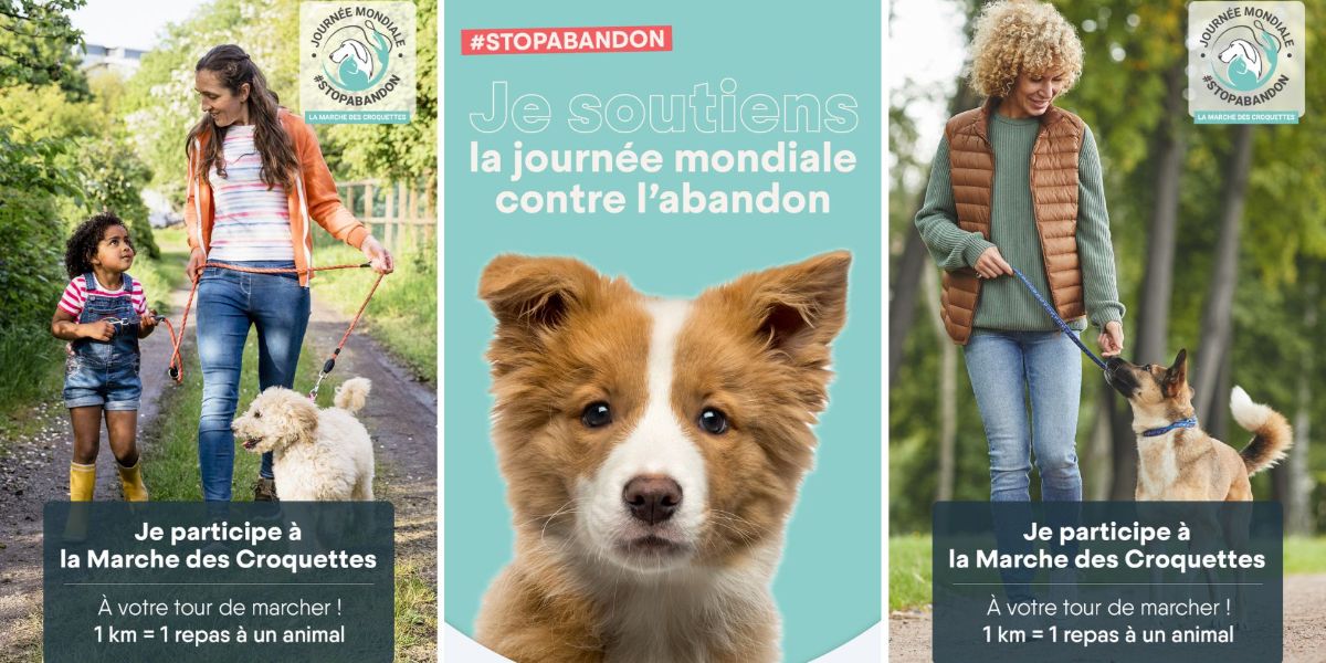L'engagement de NORMANDISE Pet Food pour la Journée mondiale de lutte contre l'abandon des animaux de compagnie