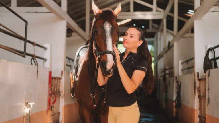 10 métiers pour travailler avec les chevaux