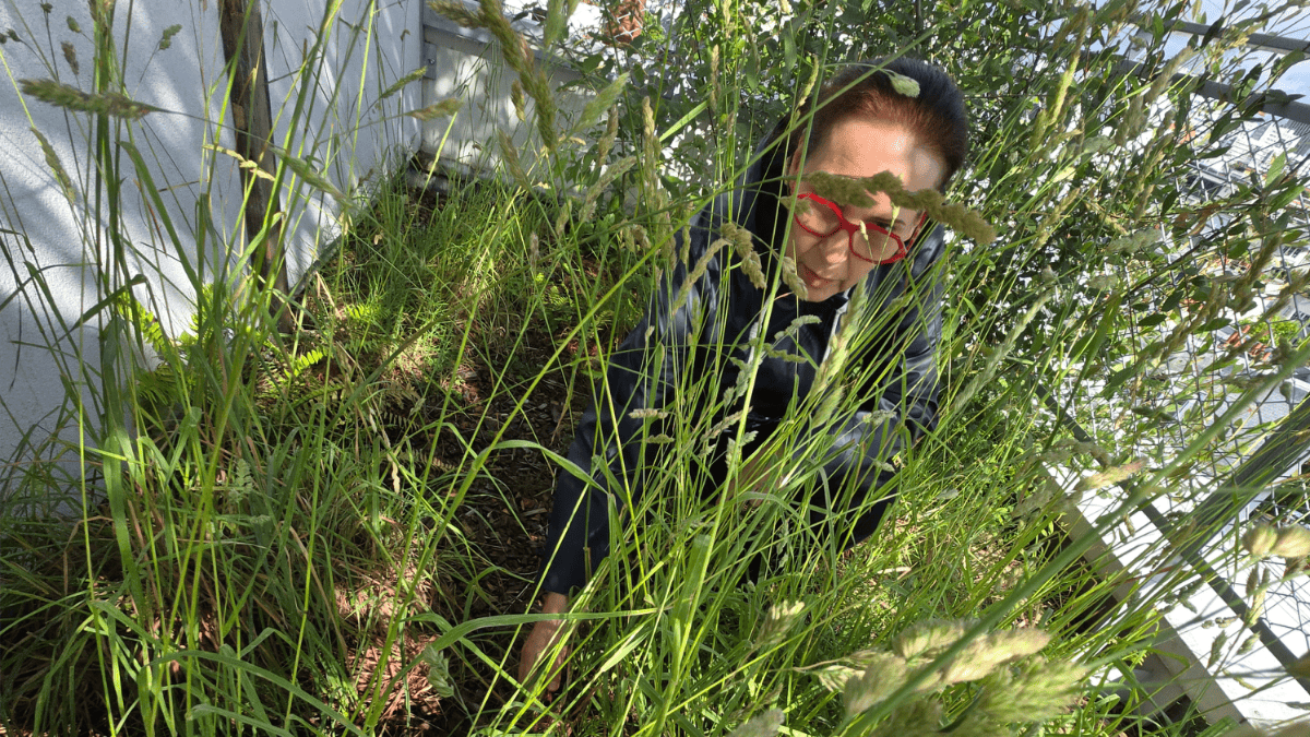 Catherine, consultante biodiversité : « Mon métier suit les saisons : le printemps, période de réveil de la nature, est chargé »