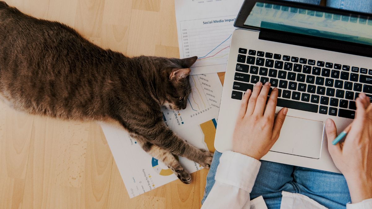 30 % des Européens prêts à baisser leur salaire pour télétravailler… et vous ?
