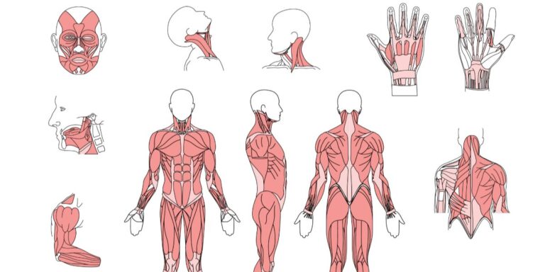 Vous avez une fibre artistique ? Voici 5 métiers auxquels vous n’avez (sûrement) pas pensé