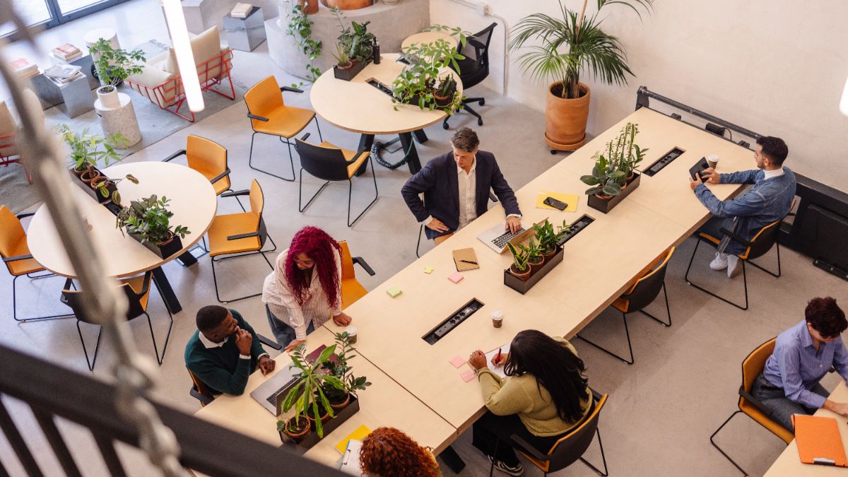 Les startups françaises qui ont le plus recruté en 2025