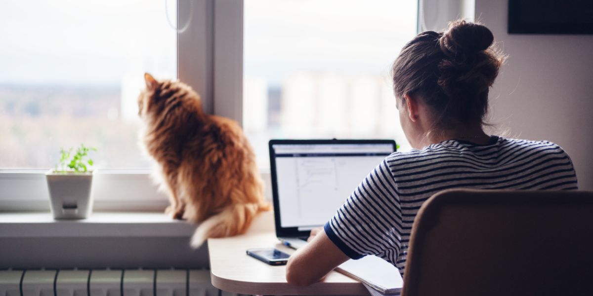 Le télétravail reste bien ancré dans une large majorité d’entreprises françaises