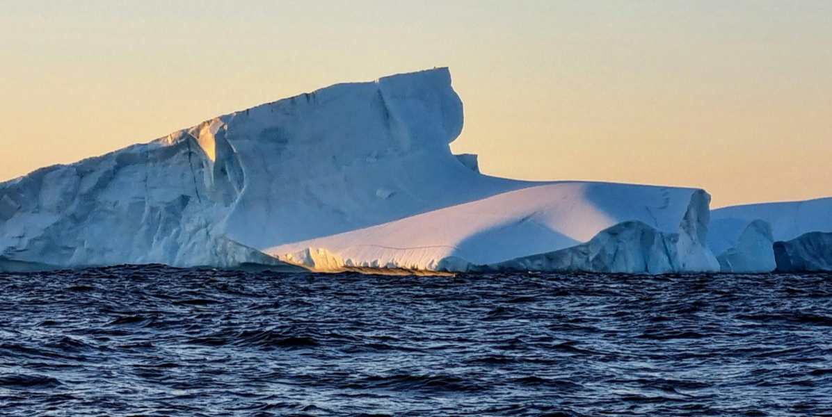BDO investit concrètement dans la transition climatique !