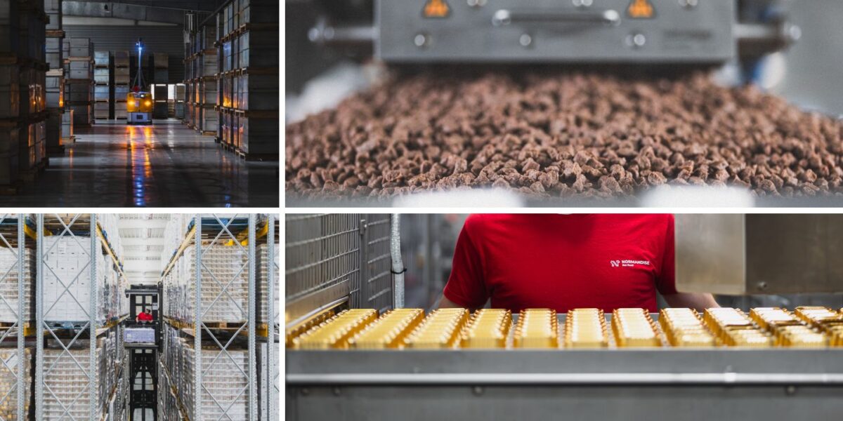 Rejoindre NORMANDISE Pet Food, c'est évoluer au cœur de l'excellence industrielle normande