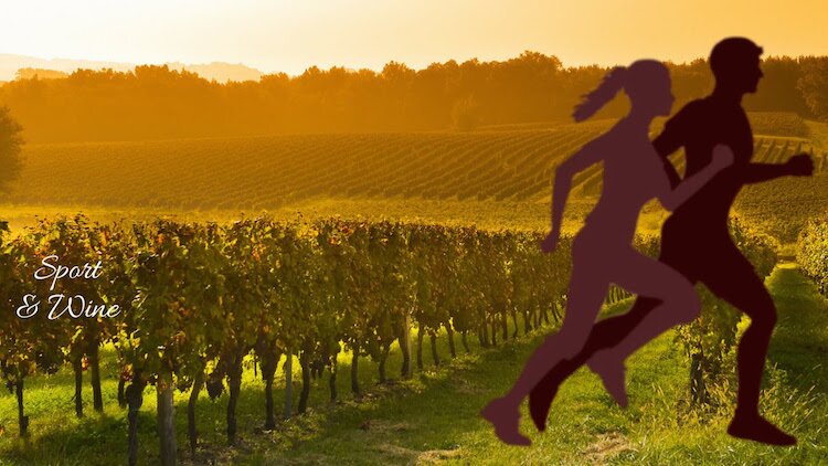 Burgundy School of Business organise une compétition inédite dans les vignes bourguignonnes