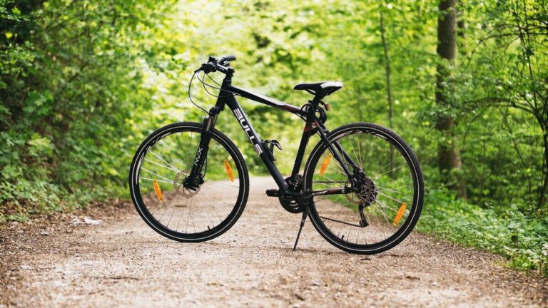 Tour de France à vélo d’un Vatélien