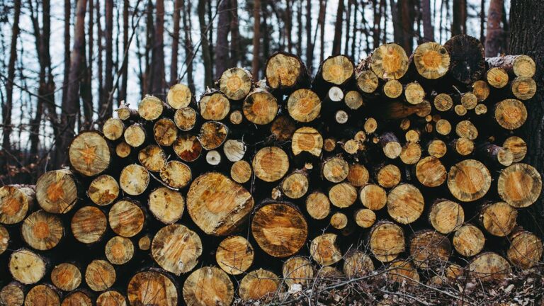 6 métiers du bois qui recrutent - MaFormation