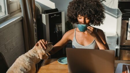 https://f.hellowork.com/edito/sites/5/2024/07/pexels-samson-katt-5256142.jpg