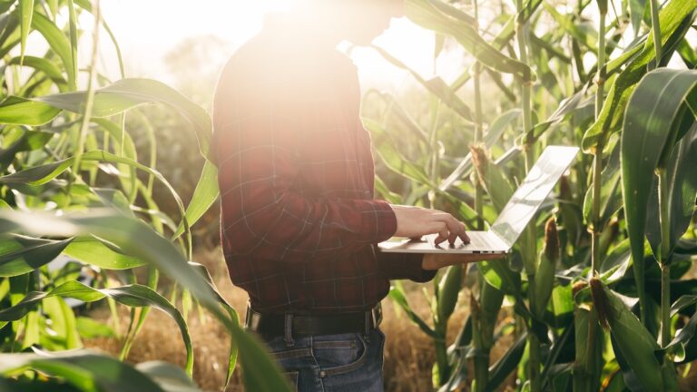 Quand la finance prend racine dans l’agriculture : deviens conseiller bancaire agricole !