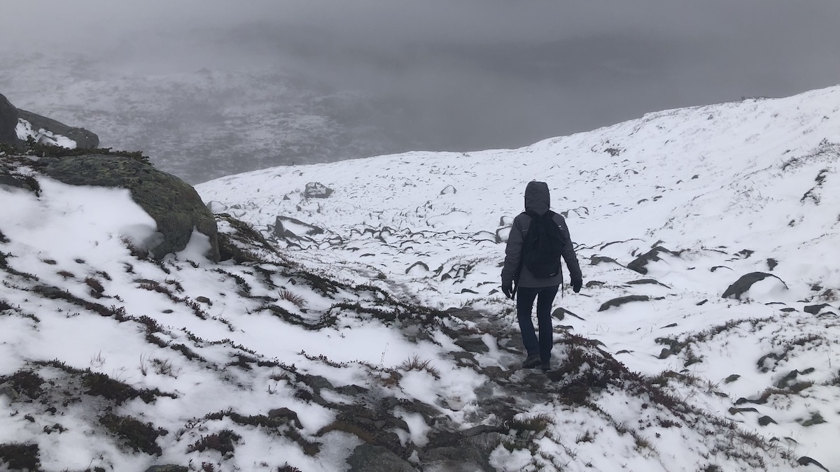 International ISARA 3